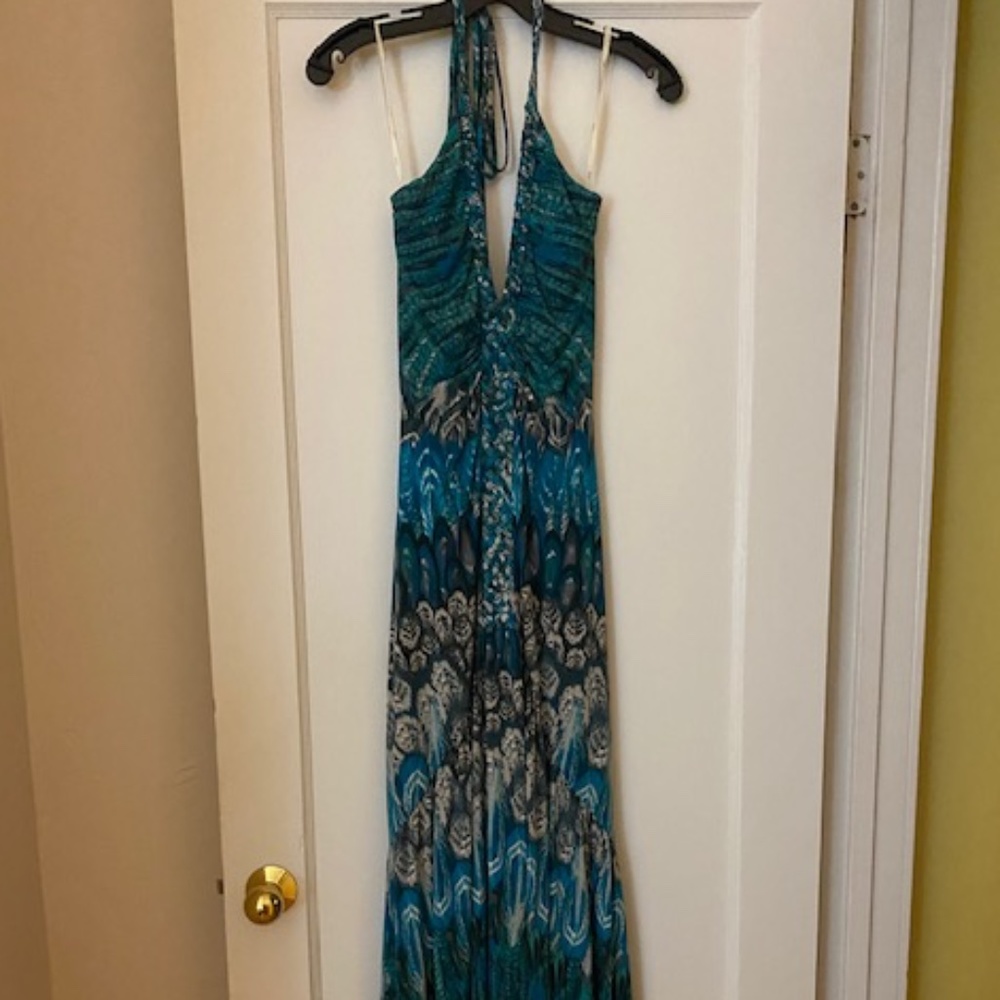 NWOT Sky dress
